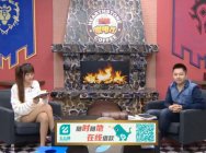 七煌新炉石咖啡厅第35期：孙立人 城