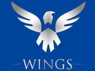 Wings战队公告：WCA没有作弊 诈降向饭团道歉