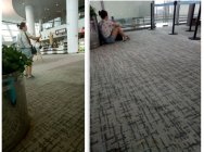 【每日G点】女主播直播时被人当场发现 胖若两人网友大呼辣眼睛