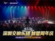 DNF 十二周年庆线上盛典,深圳交响乐团奏响冒险史诗